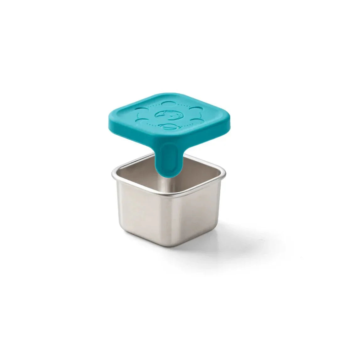 PlanetBox Rover Little Square Dipper