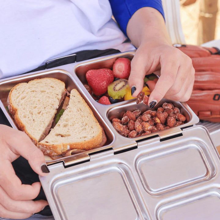 PlanetBox Launch - Stainless Steel Bento Lunch Box
