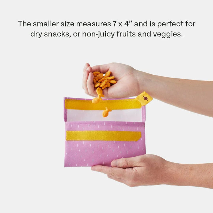 PlanetBox Snack Pack Set
