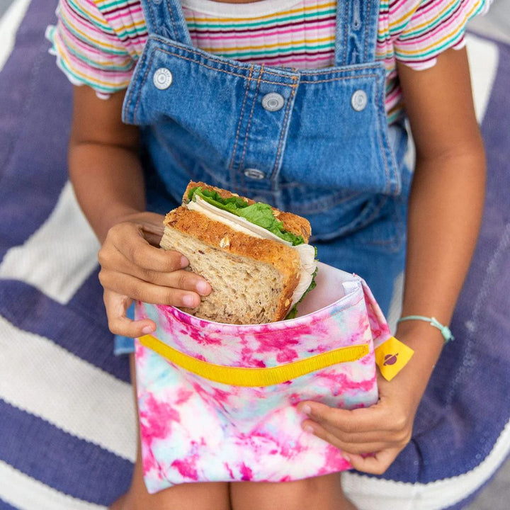 PlanetBox Snack Pack Set